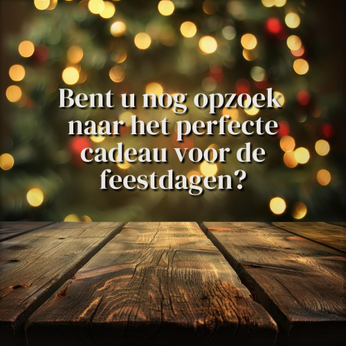 Nog opzoek naar het perfecte cadeau voor de feestdagen.png